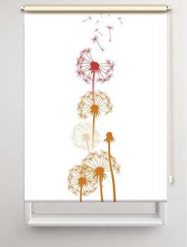 Rollo Dandelions mixed Pfeffer 3 , Rollo, Motivrollo, Rollo mit Druck, Fotorollo, bedrucktes Rollo, Fensterrollo,verdunkelndes Rollo, Sonnenschutz Rollo